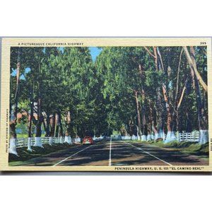 Picturesque California Peninsula Highway US 101 El Camino Real Postcard Vintage